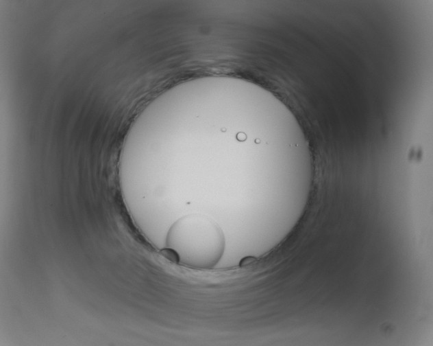 X0000112960030200908270929