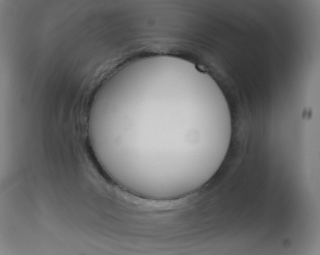 X0000112960031200908270929