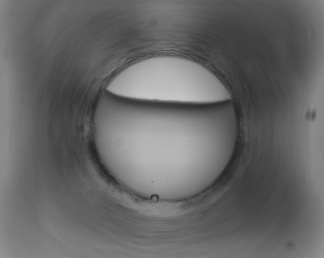X0000112960032200908270929
