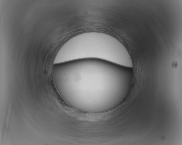 X0000112960033200908270929