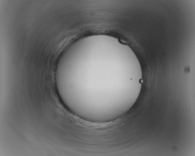 X0000112960035200908270929
