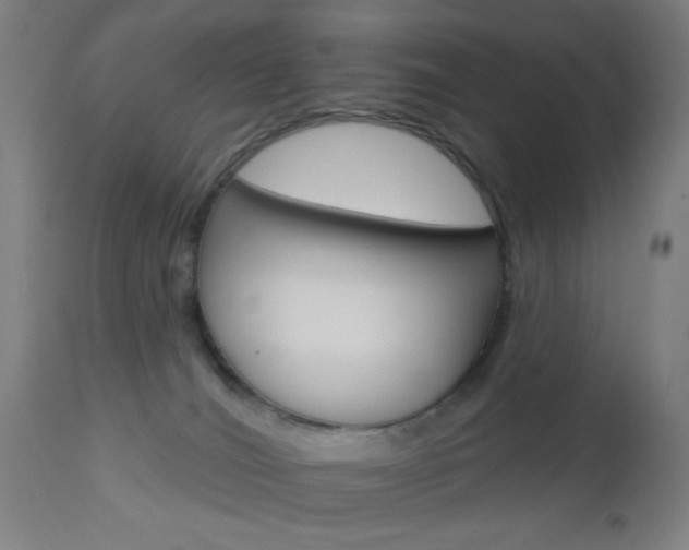 X0000112960036200908270929