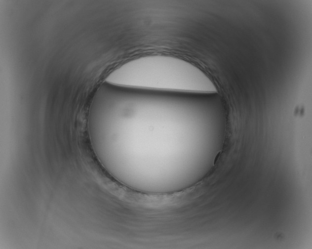 X0000112960037200908270929
