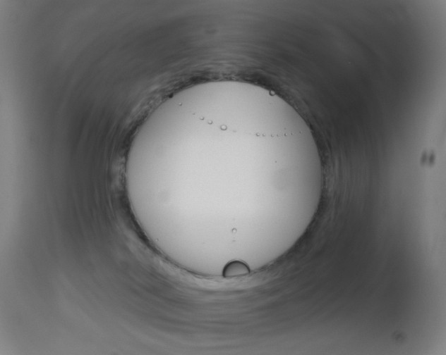 X0000112960038200908270929