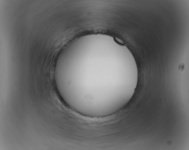 X0000112960039200908270929