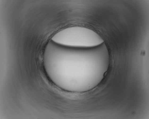 X0000112960040200908270929