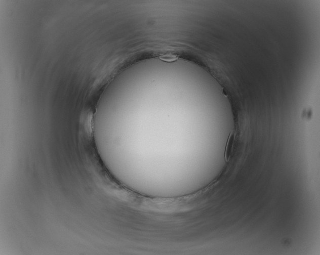 X0000112960041200908270929