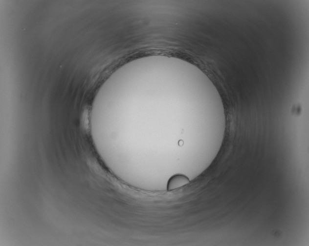 X0000112960042200908270929