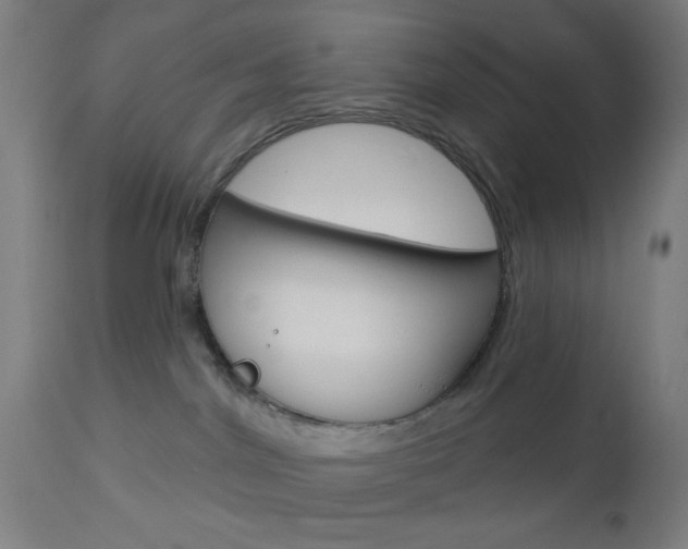 X0000112960044200908270929