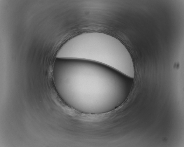 X0000112960045200908270929