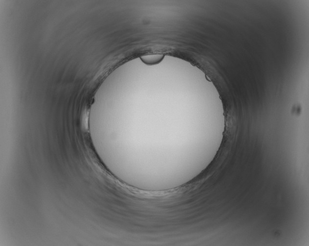 X0000112960046200908270929
