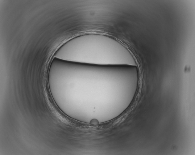X0000112960049200908270929
