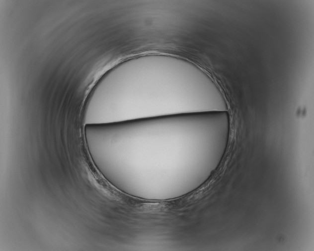 X0000112960050200908270929