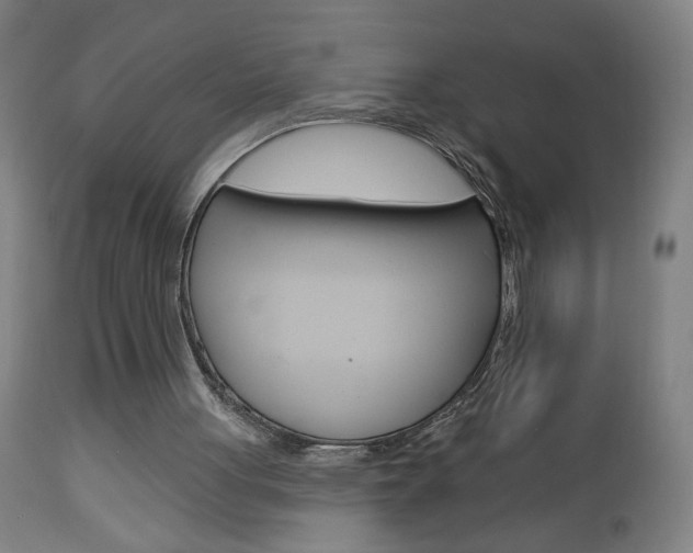 X0000112960051200908270929