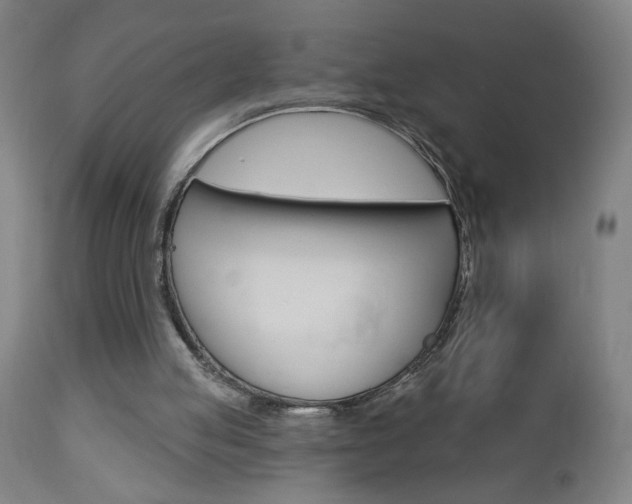 X0000112960053200908270929