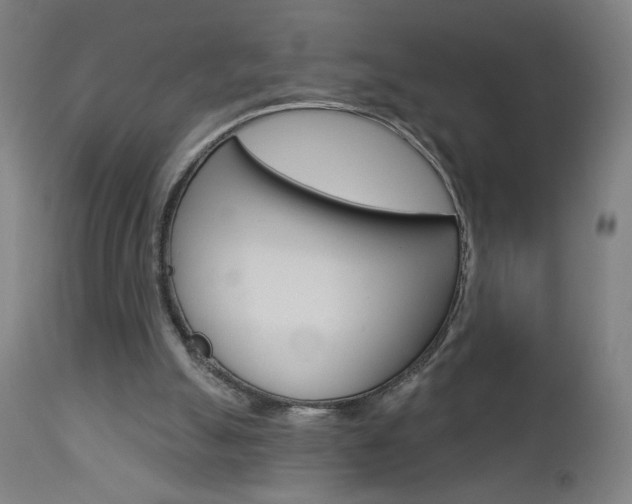 X0000112960055200908270929