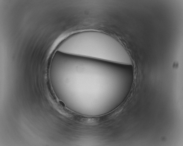 X0000112960056200908270929