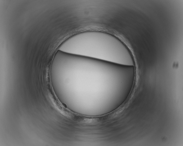 X0000112960057200908270929