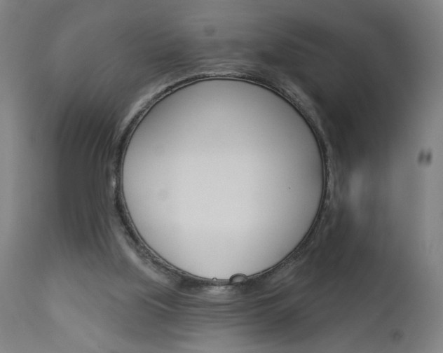 X0000112960059200908270929