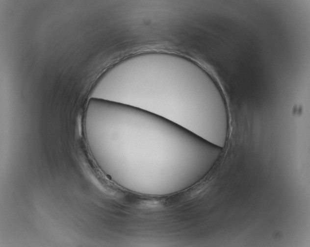 X0000112960061200908270929