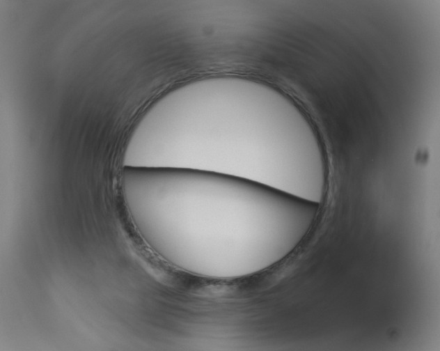 X0000112960065200908270929