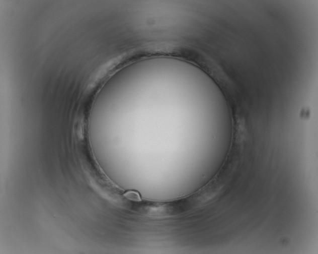 X0000112960068200908270929