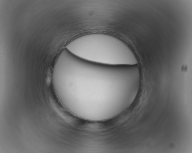 X0000112960069200908270929