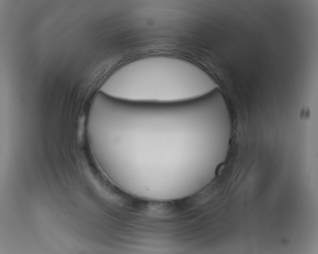 X0000112960070200908270929