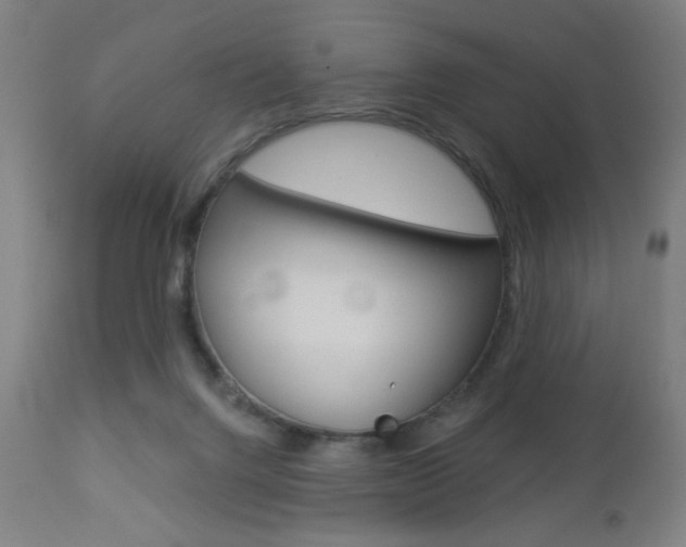 X0000112960072200908270929