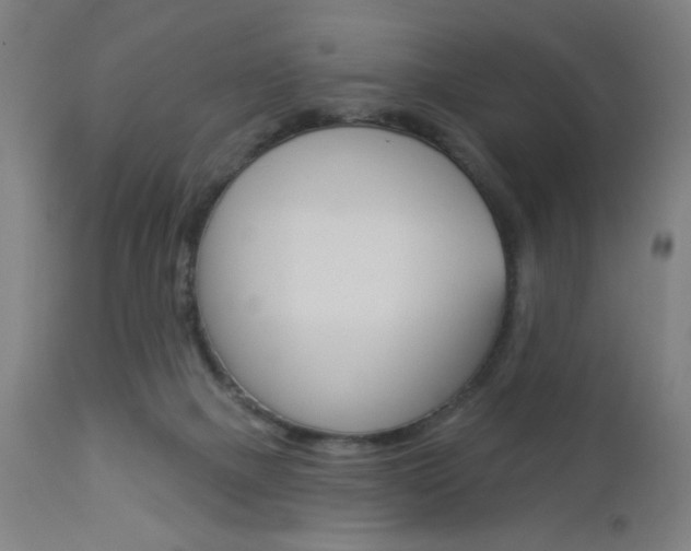X0000112960073200908270929