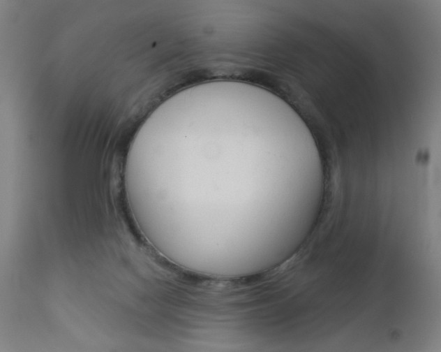 X0000112960074200908270929