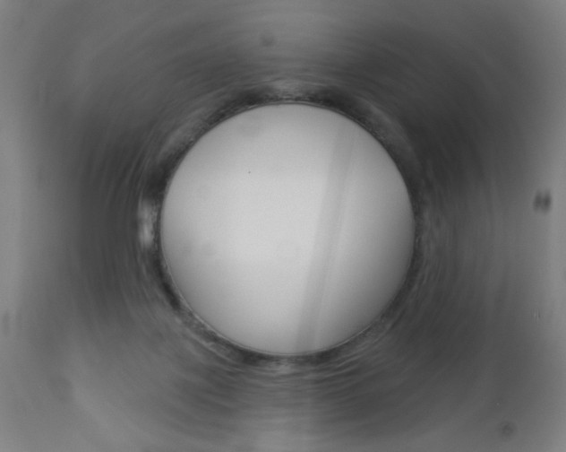 X0000112960075200908270929