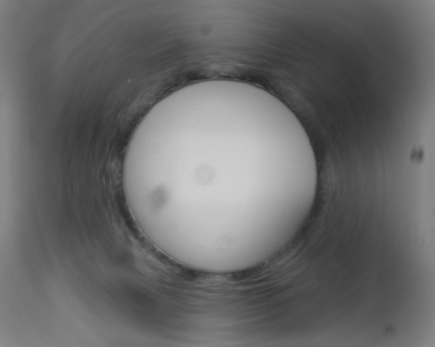 X0000112960079200908270929