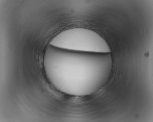 X0000112960082200908270929