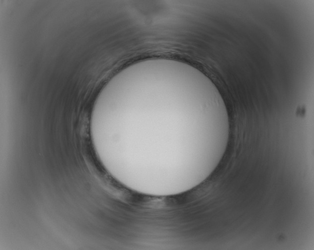 X0000112960083200908270929