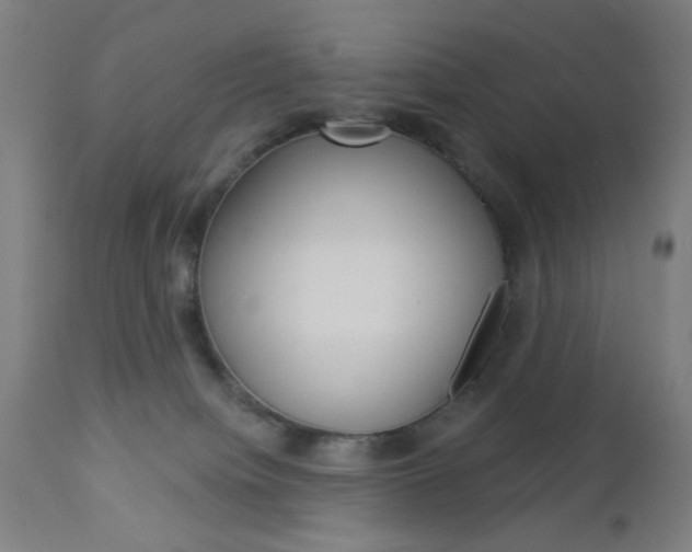 X0000112960084200908270929