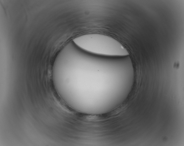 X0000112960085200908270929