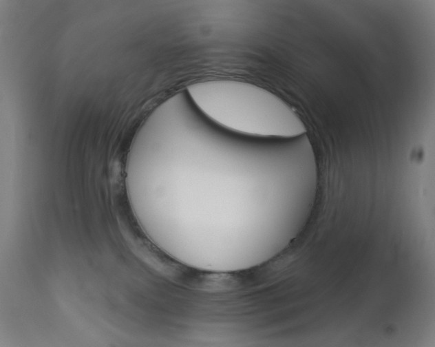 X0000112960087200908270929