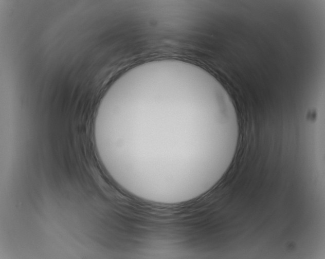 X0000112960088200908270929