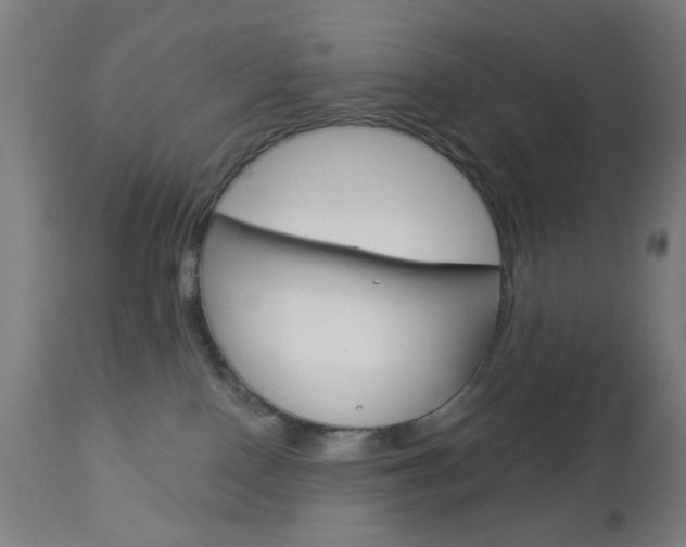 X0000112960090200908270929