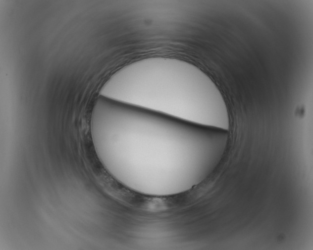 X0000112960091200908270929