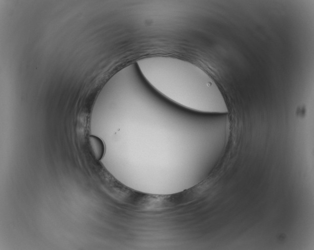 X0000112960093200908270929