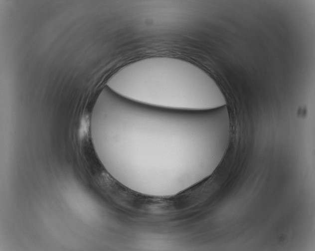 X0000112960095200908270929