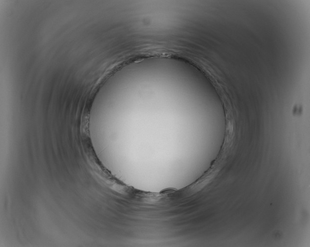 X0000112960096200908270929