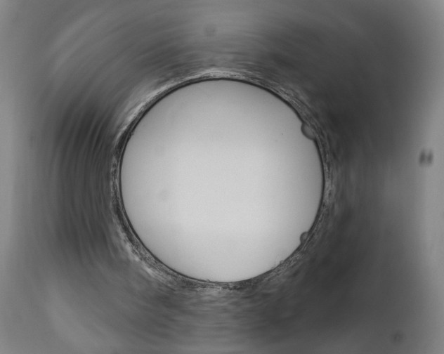 X0000112960098200908270928