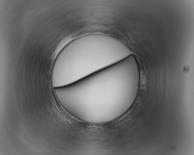 X0000112960099200908270928