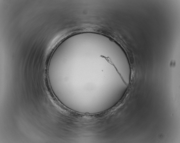 X0000112960101200908270928