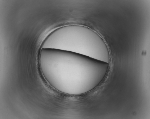 X0000112960103200908270928
