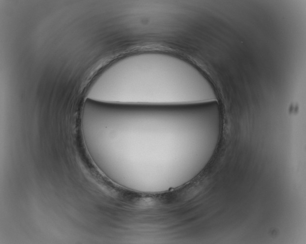 X0000112960111200908270928