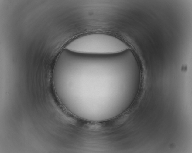 X0000112960113200908270928